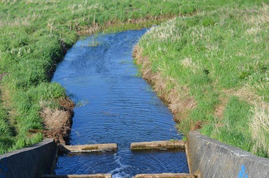 Marton Mere Local Nature Reserve