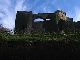 il Castello di Trebiano