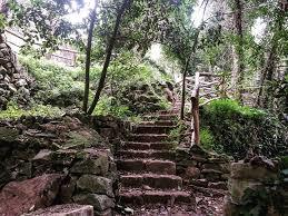 Foresta Urbana di Lecce