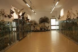 Museo missionario cinese e di storia naturale
