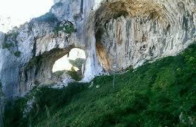 Pineta Di Grotta Grattara