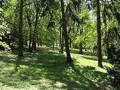 Ogród Dendrologiczny im. Stefana Kownasa