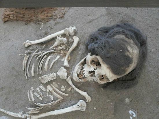 Museo De Sitio Colon 10