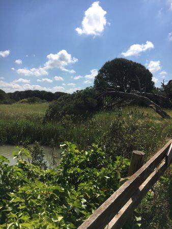 Oasi di Macchiagrande