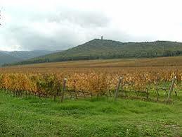 Castello di Donoratico