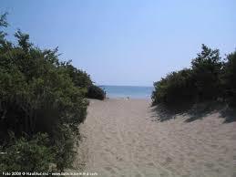 Riserva Naturale Duna Feniglia