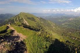 Naturpark Nagelfluhkette