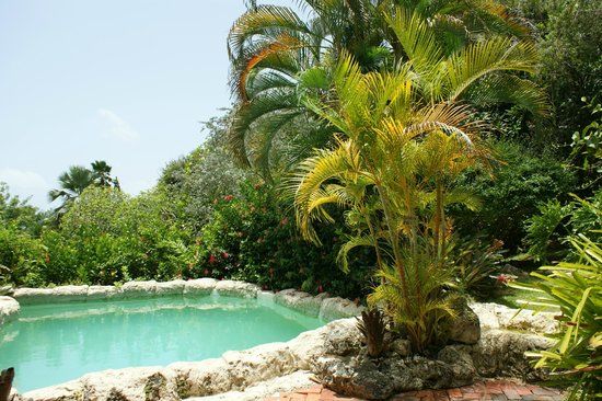 Andromeda Botanic Gardens