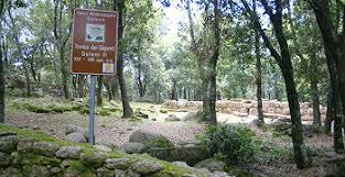 Bosco di Selene