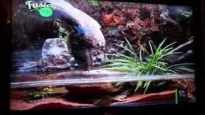 Zoo Acquario Di Imola