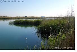 Parco Naturale Regionale Bosco e Paludi di Rauccio