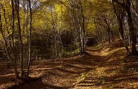 Parco Regionale di Montevecchia e della Valle del Curone