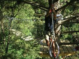 Parco Avventura Val di Vara