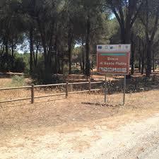 Bosco di Santo Pietro