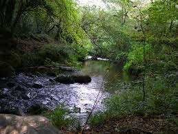 Parco archeologico naturalistico di Turona