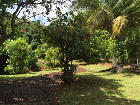 Laura Herb and Spice Garden