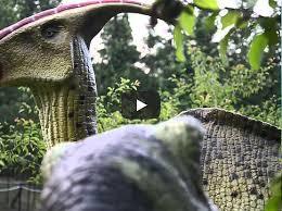 Il Mondo della Preistoria