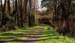 Via Verde Montes De Hierro