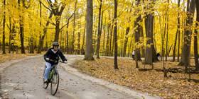 U.S. Bicycle Route 37