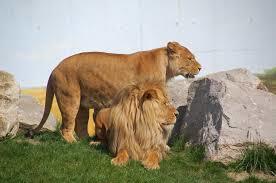 Ogród Zoologiczny w Zamościu