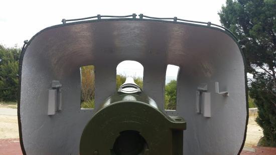 Leighton Battery Guns