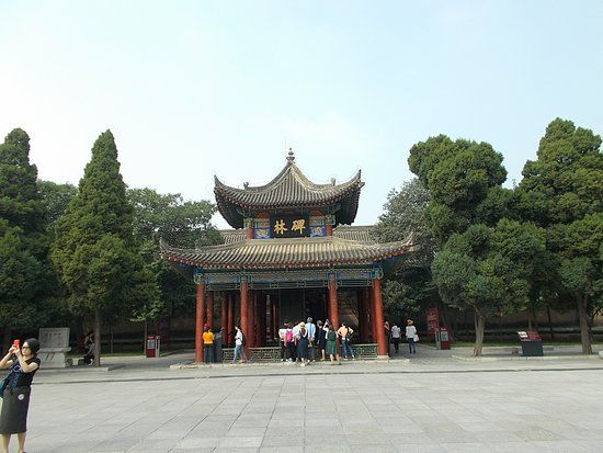 Musée de la Forêt de Stèles