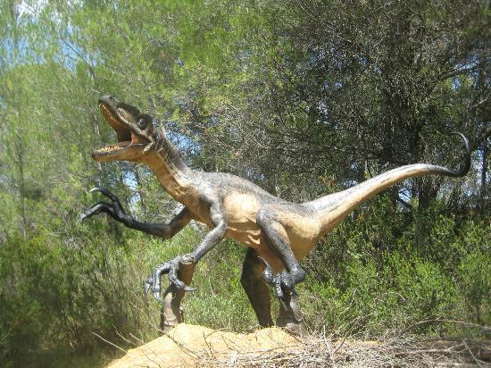 Musée - Parc des Dinosaures