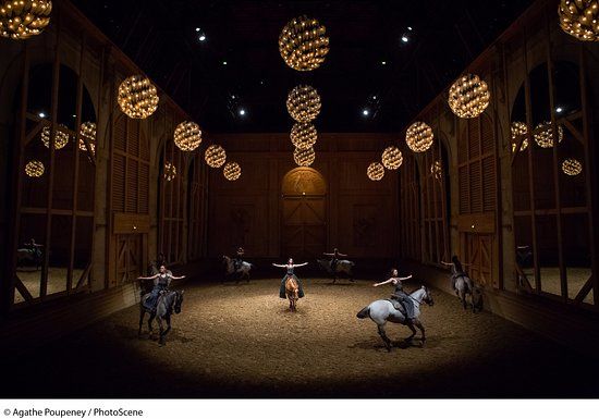 Academy of Equestrian Arts