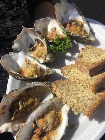 Hipódromo de Galway