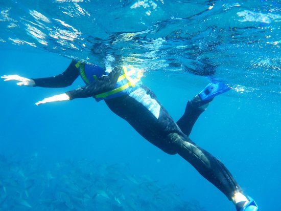 Cabo Pulmo Marine Preserve