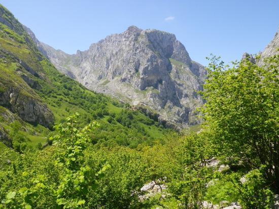 Picos de Europa