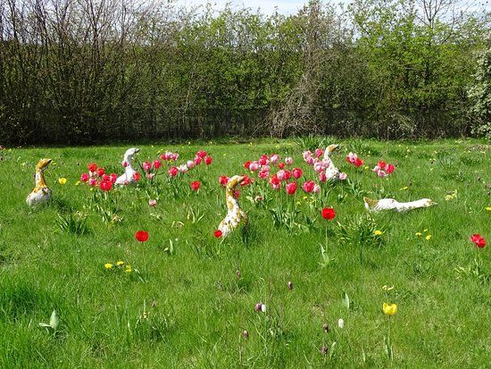 Birkheads Secret Gardens