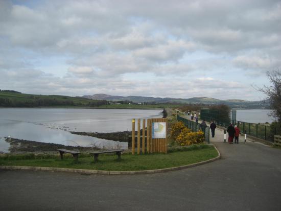 Inch Wildfowl Reserve