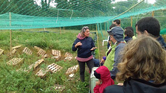 Escargoterie de Groix