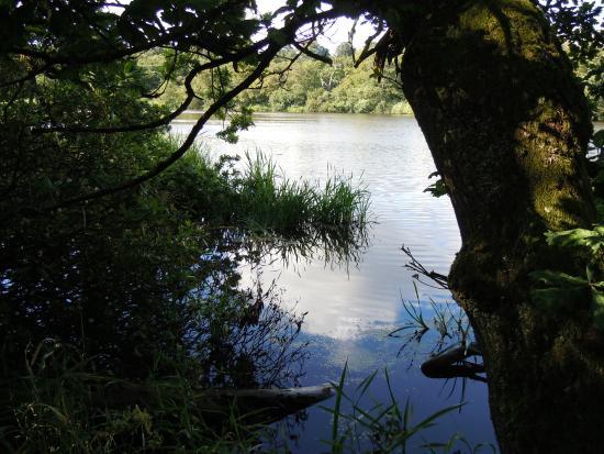 Bolam Lake Country Park