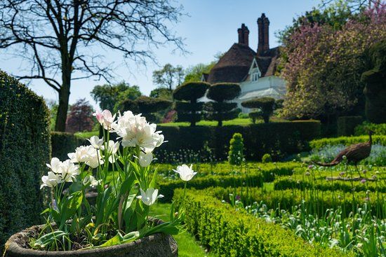 Houghton Lodge Gardens