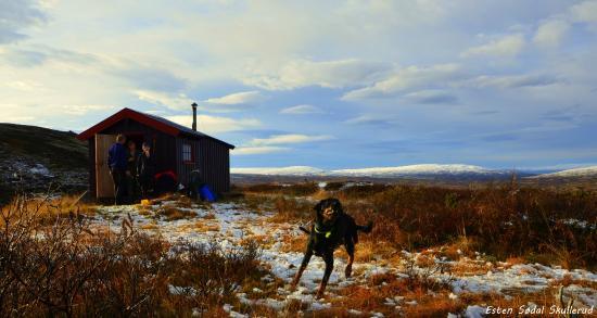 The Forollhogna Mountains