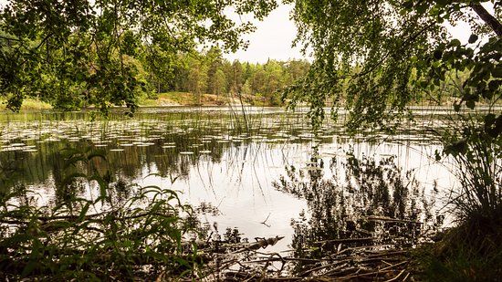 Tattby naturreservat