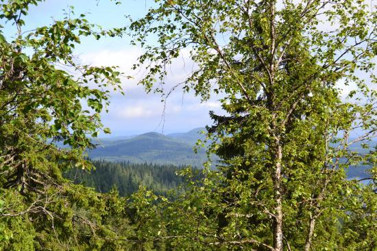 Kolinuuron kierros Nature Trail