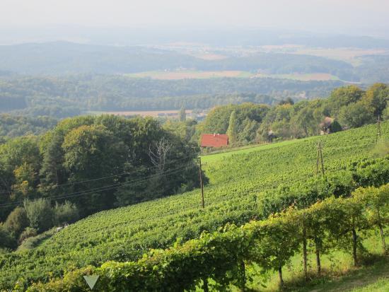 Weltgrößter Klapotetz