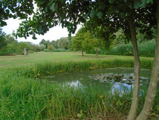 Burggraaf Frimoutpark