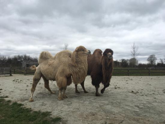 Dierenpark de Zonnegloed