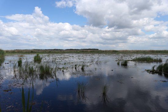 Kiskunsag National Park