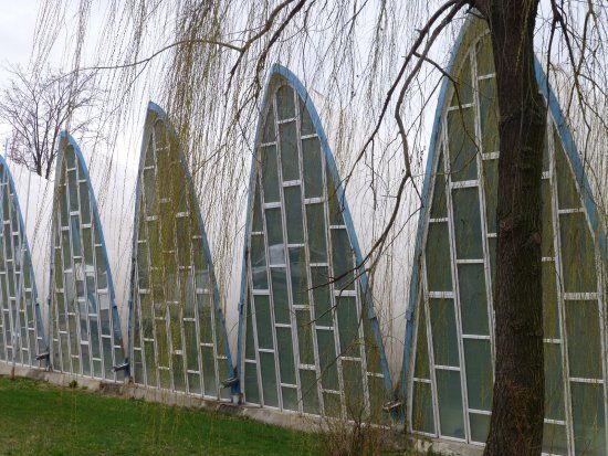 Memorial Nadia Comaneci Montreal