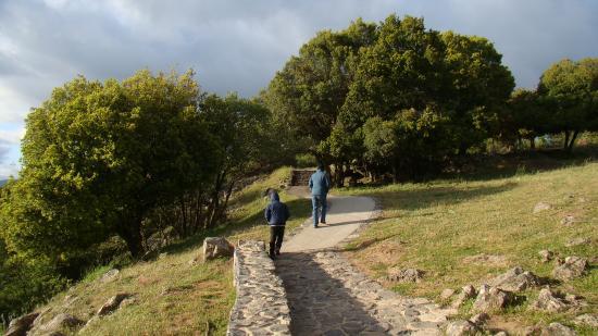 Big Juba in Ya'ar Odem