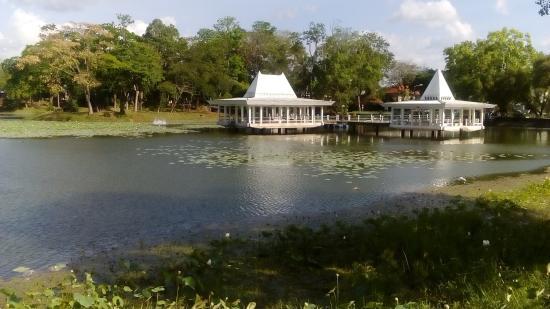 Kapang Surin Pond