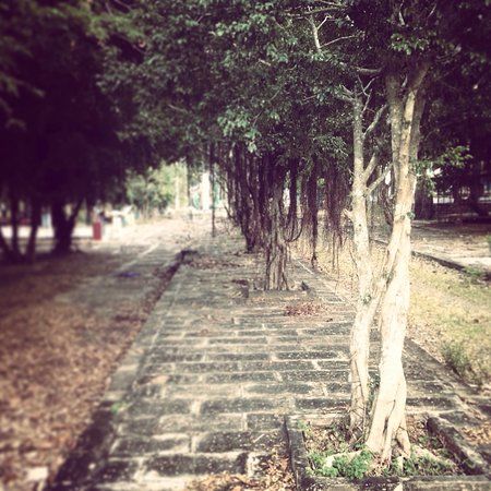 Suoi Cat Amusement Park