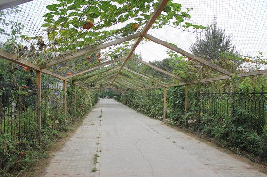 Yinchuan Botanical Garden