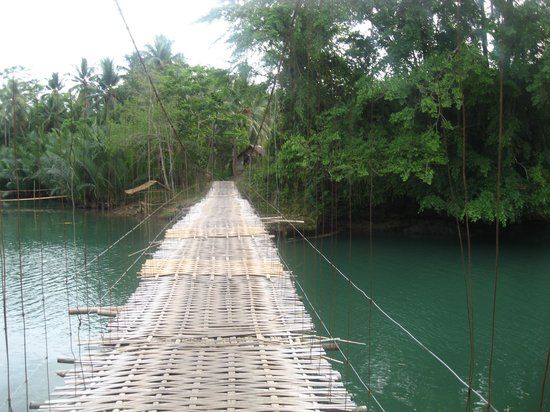 Bamboo Bridge