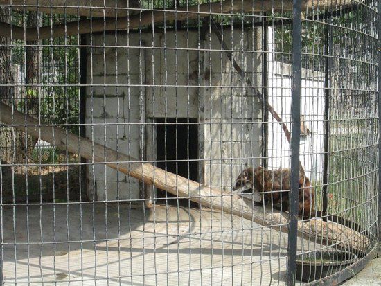 Wilson's Wild Animal Park